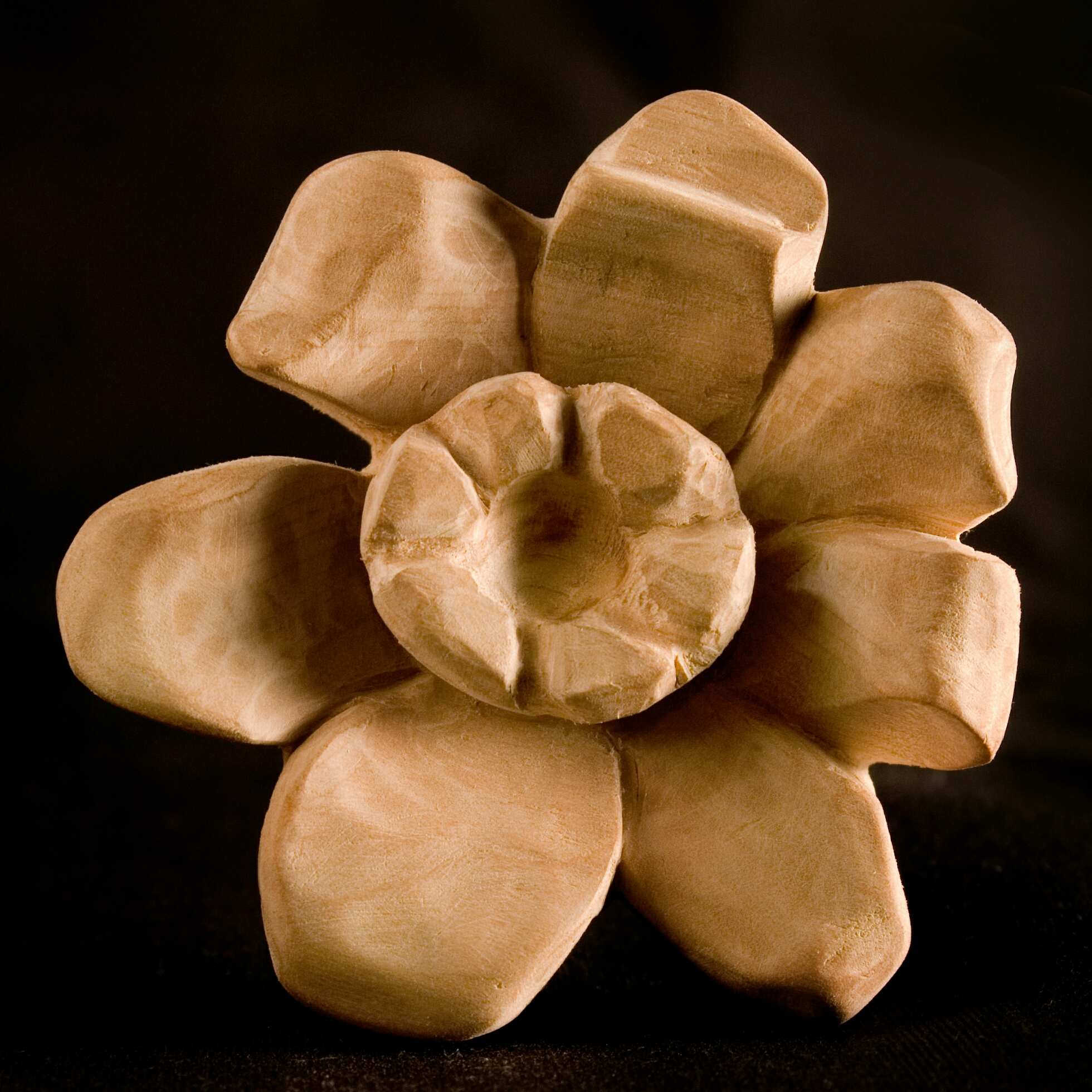 Rosa en Galería R van R